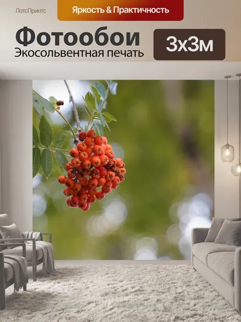 Фотообои Ягоды