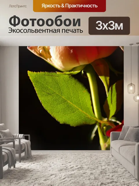 Фотообои Розенблатт