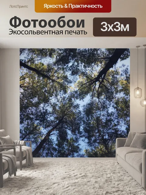 Фотообои Сосна