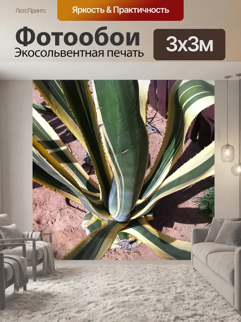 Фотообои Пляж