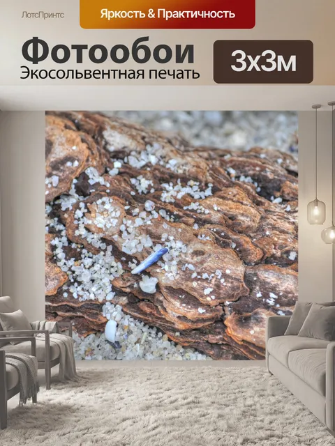 Фотообои Shell, песок и коряга