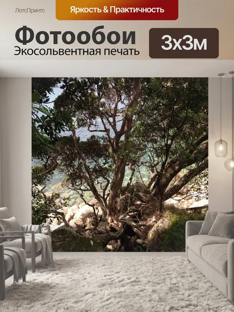 Фотообои Дерево