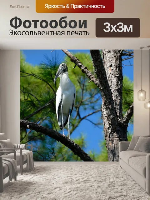 Фотообои Древесина Аист