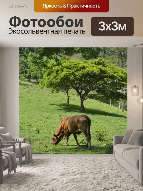 Фотообои Скот