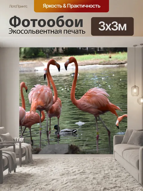 Фотообои Фламинго