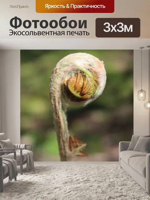 Фотообои Папоротники
