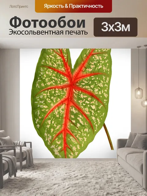 Фотообои Листва лист растение прозрачный