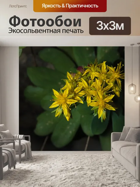 Фотообои Цветок
