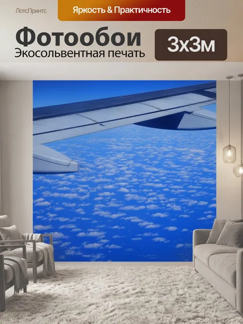Фотообои Летающий