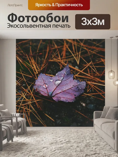 Фотообои Мокрый