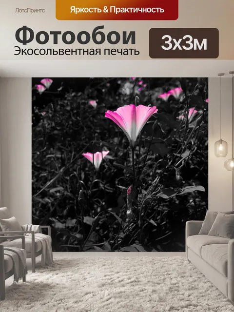 Фотообои Цветок
