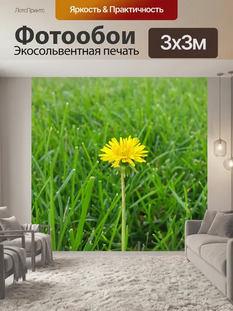 Фотообои Одуванчик