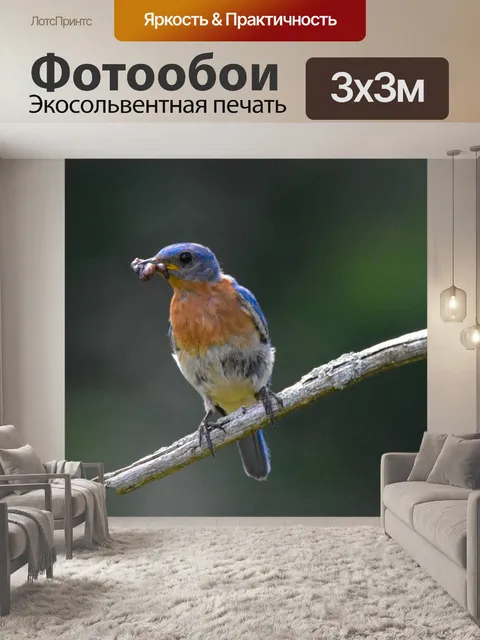 Фотообои Птица