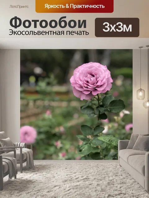 Фотообои Ботанический сад