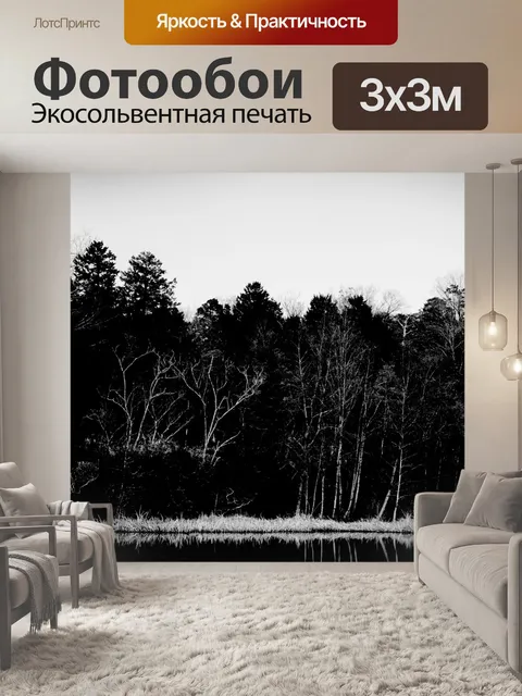 Фотообои Черное и белое