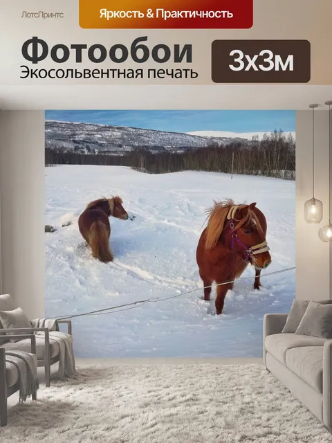 Фотообои Лошади