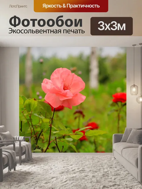 Фотообои Розовые розы