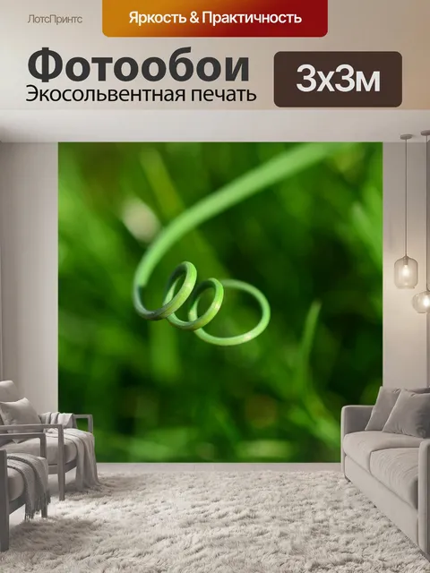 Фотообои Трава