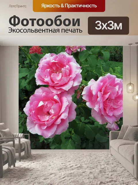 Фотообои Розы