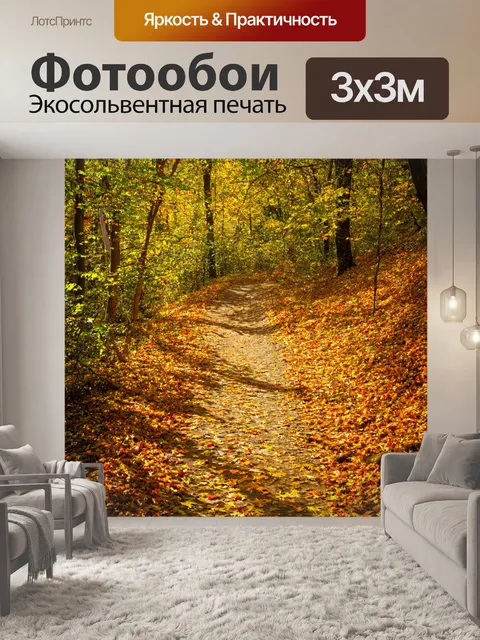 Фотообои лесная дорожка, усыпанная листьями, освещенная солнцем