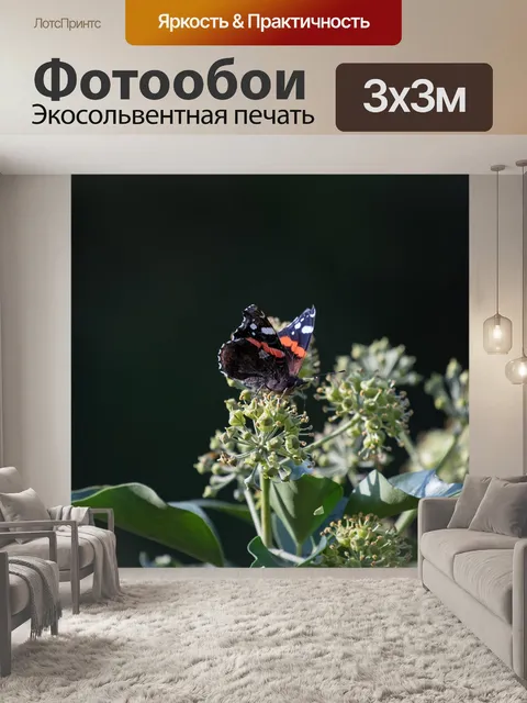 Фотообои Бабочка