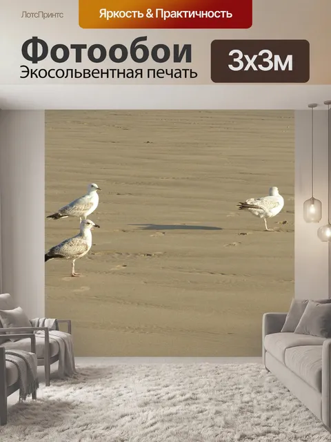 Фотообои Чайки