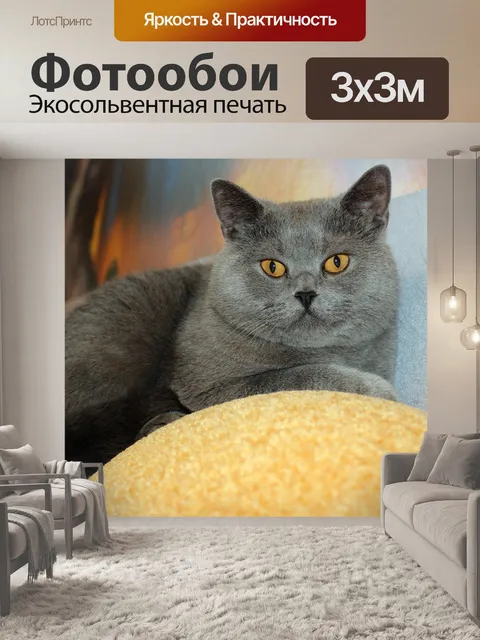 Фотообои Кошка