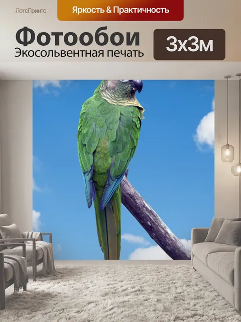 Фотообои Попугай