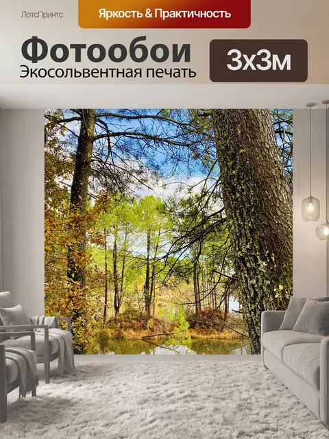 Фотообои Лес