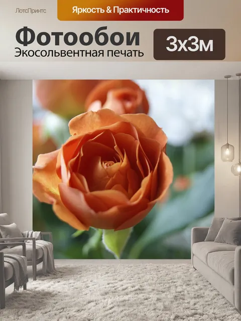 Фотообои Оранжевый цветок