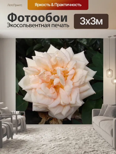 Фотообои Цветы