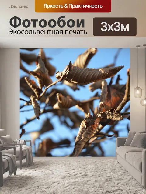Фотообои Листья