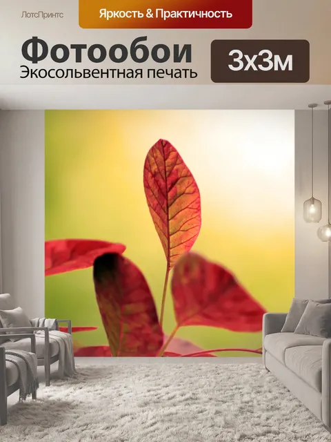Фотообои Листья