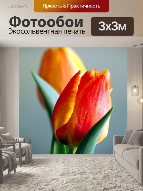 Фотообои Цветы