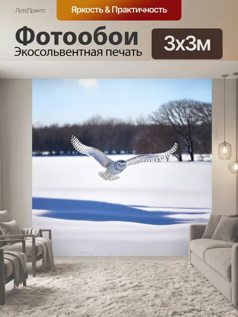 Фотообои снежная сова парит над широкими снежными просторами