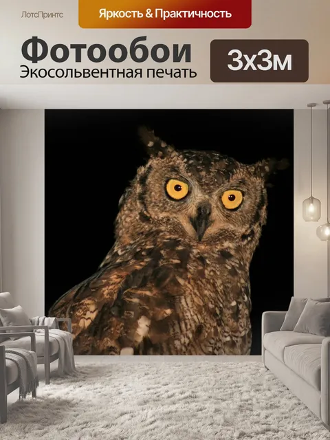 Фотообои Птица