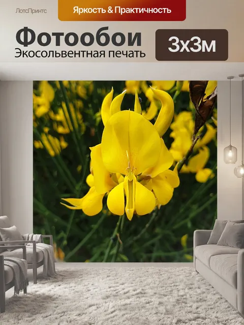 Фотообои Цветы