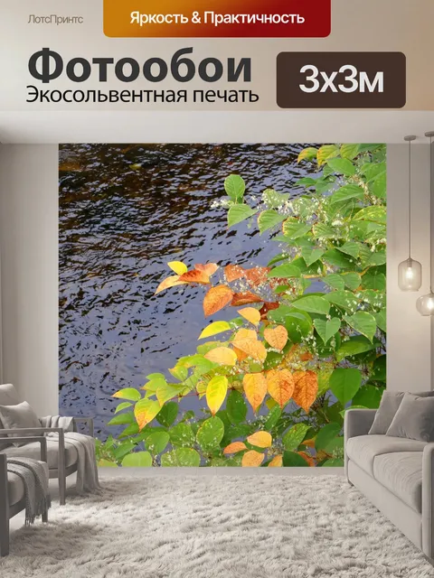 Фотообои Осенние листья