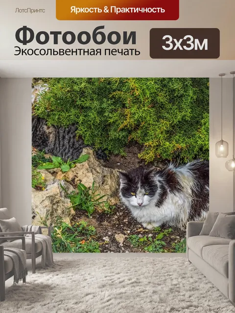 Фотообои Кошки