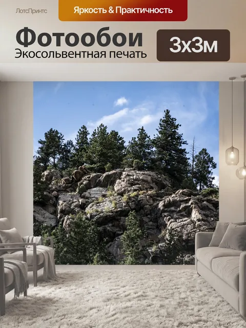 Фотообои Сосновая вершина горы
