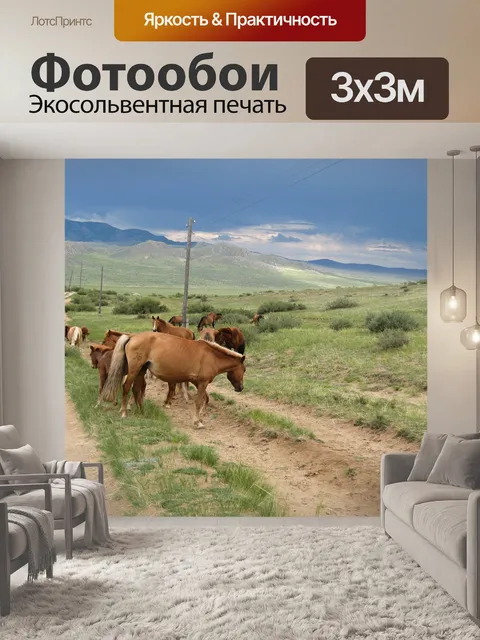 Фотообои Монголия