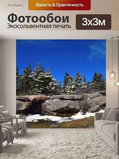 Фотообои Сосны