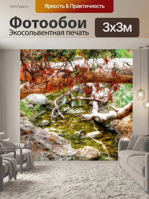 Фотообои Падшее дерево