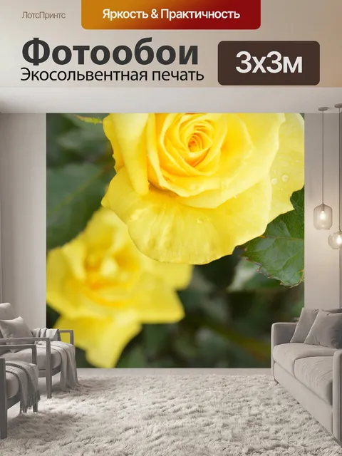 Фотообои Розы