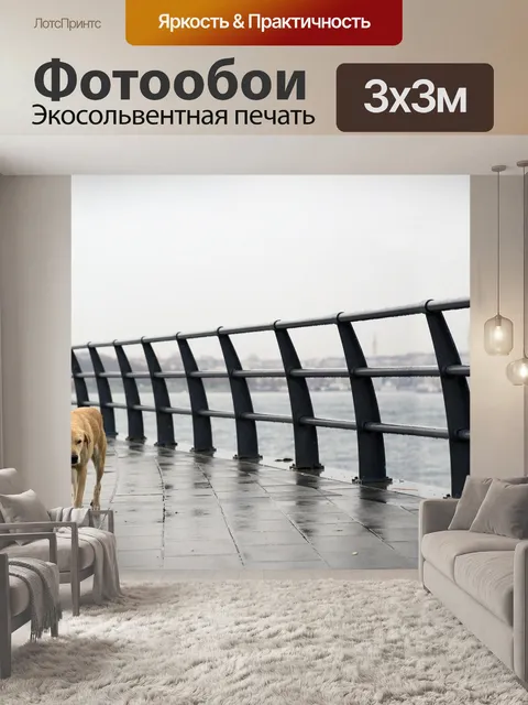 Фотообои Собака