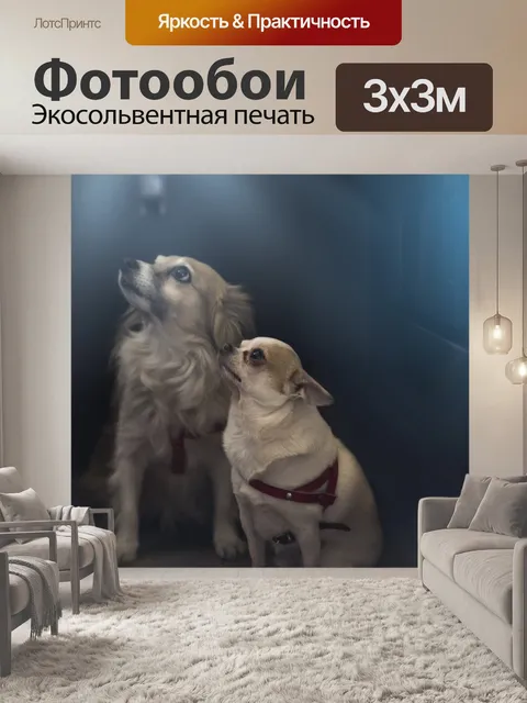 Фотообои Папильон