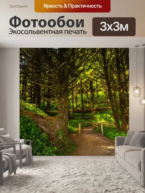Фотообои Восход