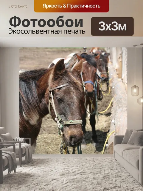 Фотообои Лошади