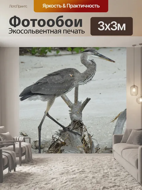 Фотообои Птица