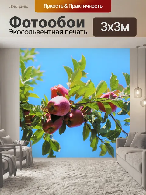 Фотообои Яблоко